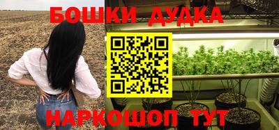 тгк Шелехов