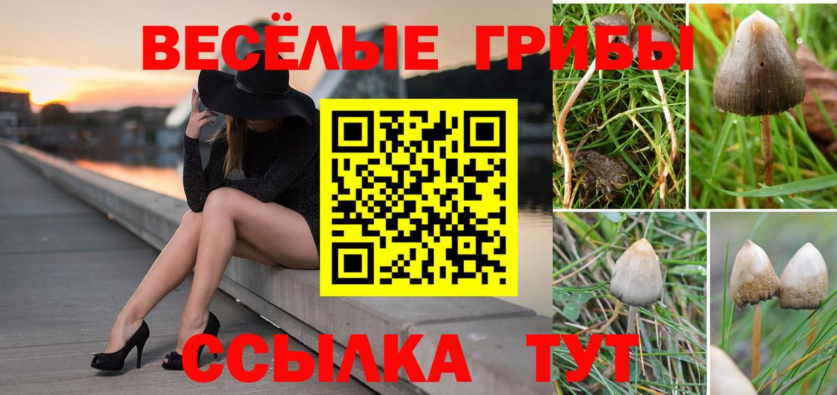Галлюциногенные грибы Magic Shrooms Курчалой