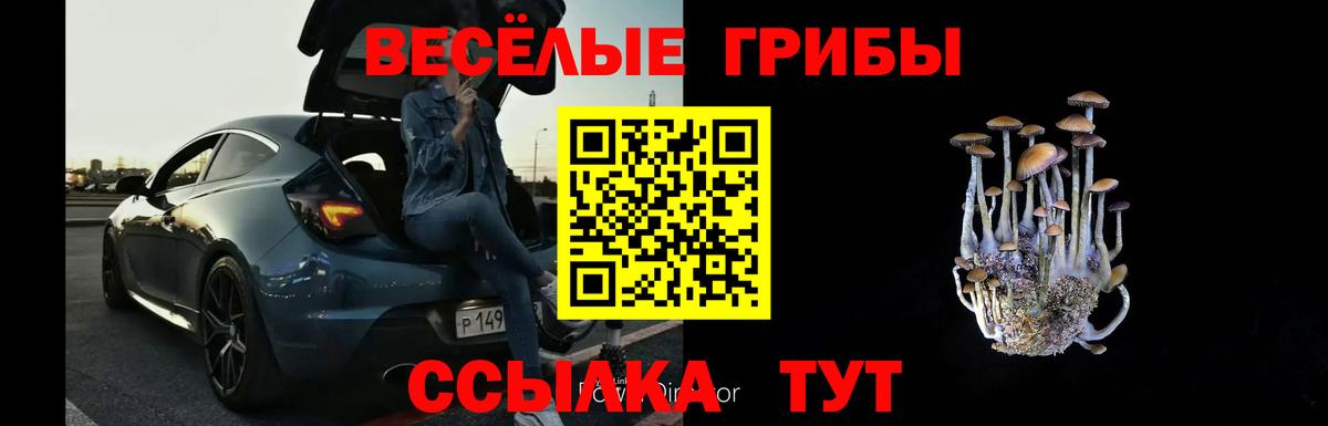 Псилоцибиновые грибы Cubensis  Вход с VPN  Галлюциногенные грибы Psilocybe  Курчалой 