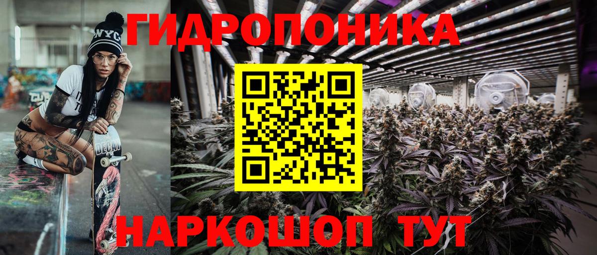Курчалой  Бошки марихуана план  Бошки марихуана THC 21%  Марихуана THC 21%  Вход с VPN  Бошки марихуана гибрид 